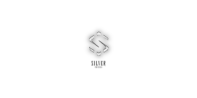 ミナミのホストクラブ「VAM OSAKA -SILVER-」の求人宣伝。