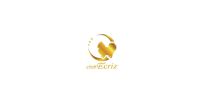 ミナミのホストクラブ「ECRIZ」の求人宣伝。