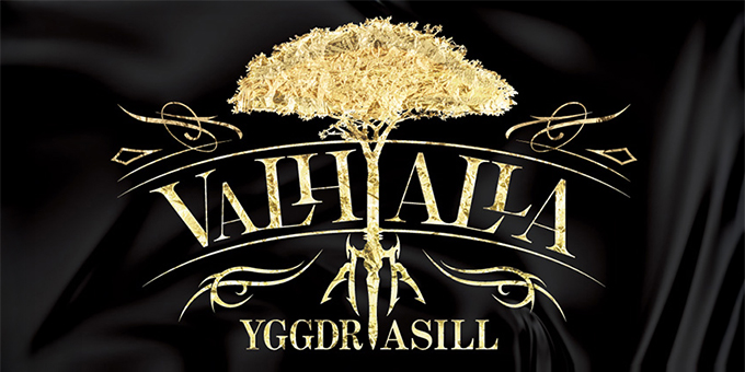 歌舞伎町のホストクラブ「VALHALLA」の求人宣伝