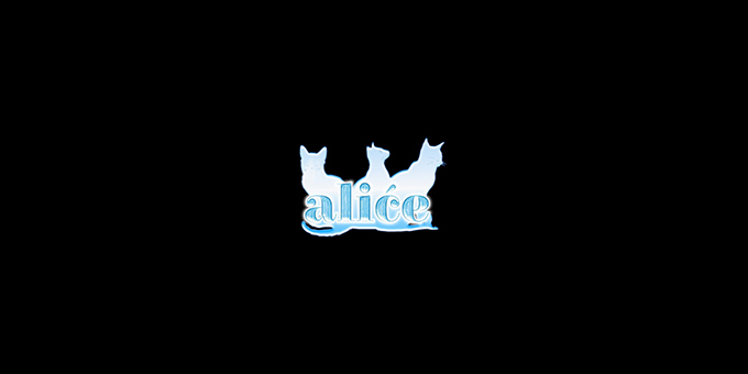 歌舞伎町のホストクラブ「alice」の求人宣伝。
